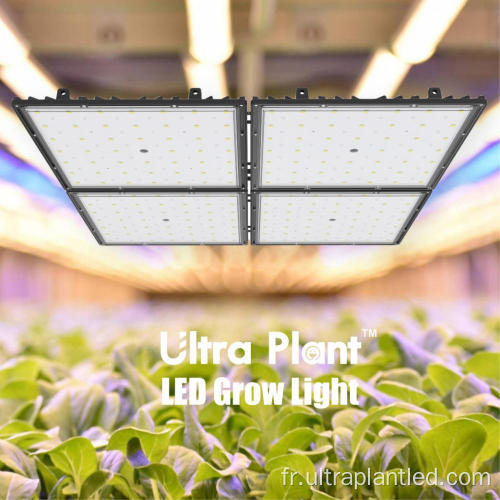 Infared Deep Red Grow Light pour la culture en intérieur